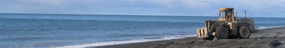 Photo banner