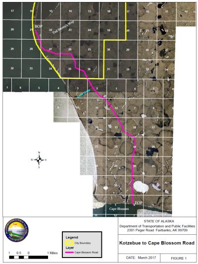 Cape Blossom Road project area.