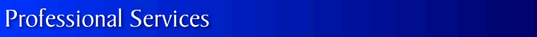 Professional Services banner