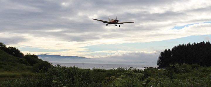 Plane Landing at Port Lions Airport