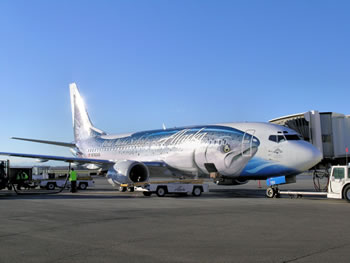 Photo of Alaska Air Salmon plane