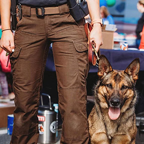 officer with police dog