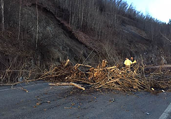 Photo - Seward Highway Landslide