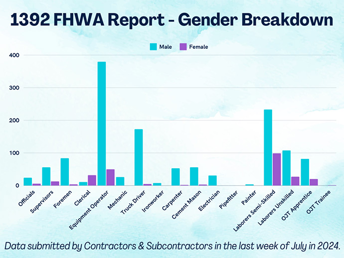 graph presenting the gender breakdown of the 2024 1391 Applications