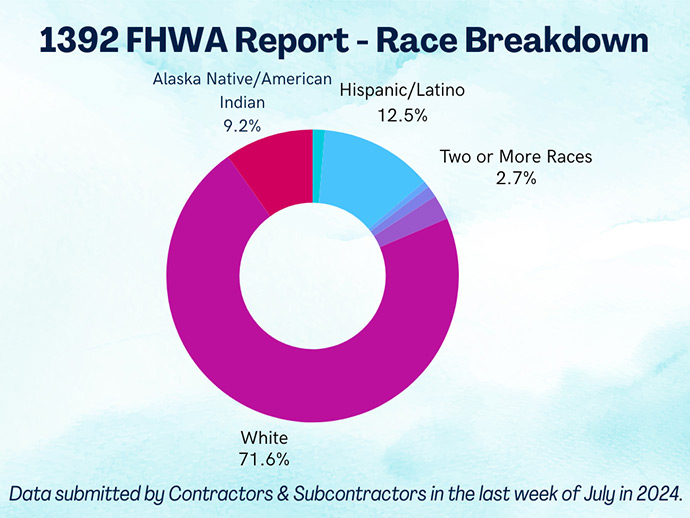 graph presenting the race breakdown of the 2024 1391 Applications