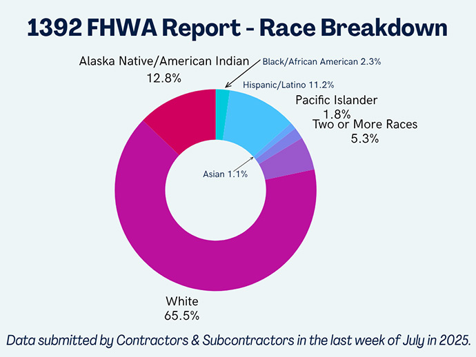 graph presenting the race breakdown of the 2025 1391 Applications