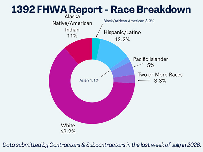 graph presenting the race breakdown of the 2026 1391 Applications