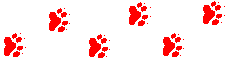 TraCS footprints
