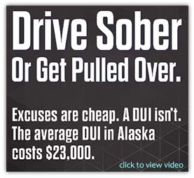 Drive Sober or Get Pulled Over