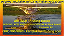 link to Alaska Fly In Fishing
