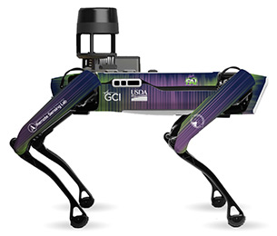 rendered image of Aurora in the FAI skin