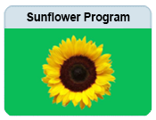 link to the Sunflower Hidden Disabilities Program