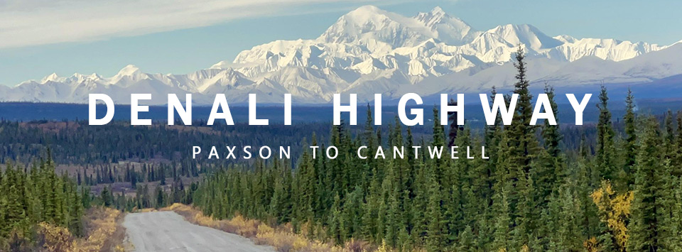 Denali Highway in foreground, black spruce trees in midground, Denali in background. Photo by Jingzhou Zhang, Alaska DOT&PF