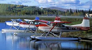 Floatplanes on FAI float pond