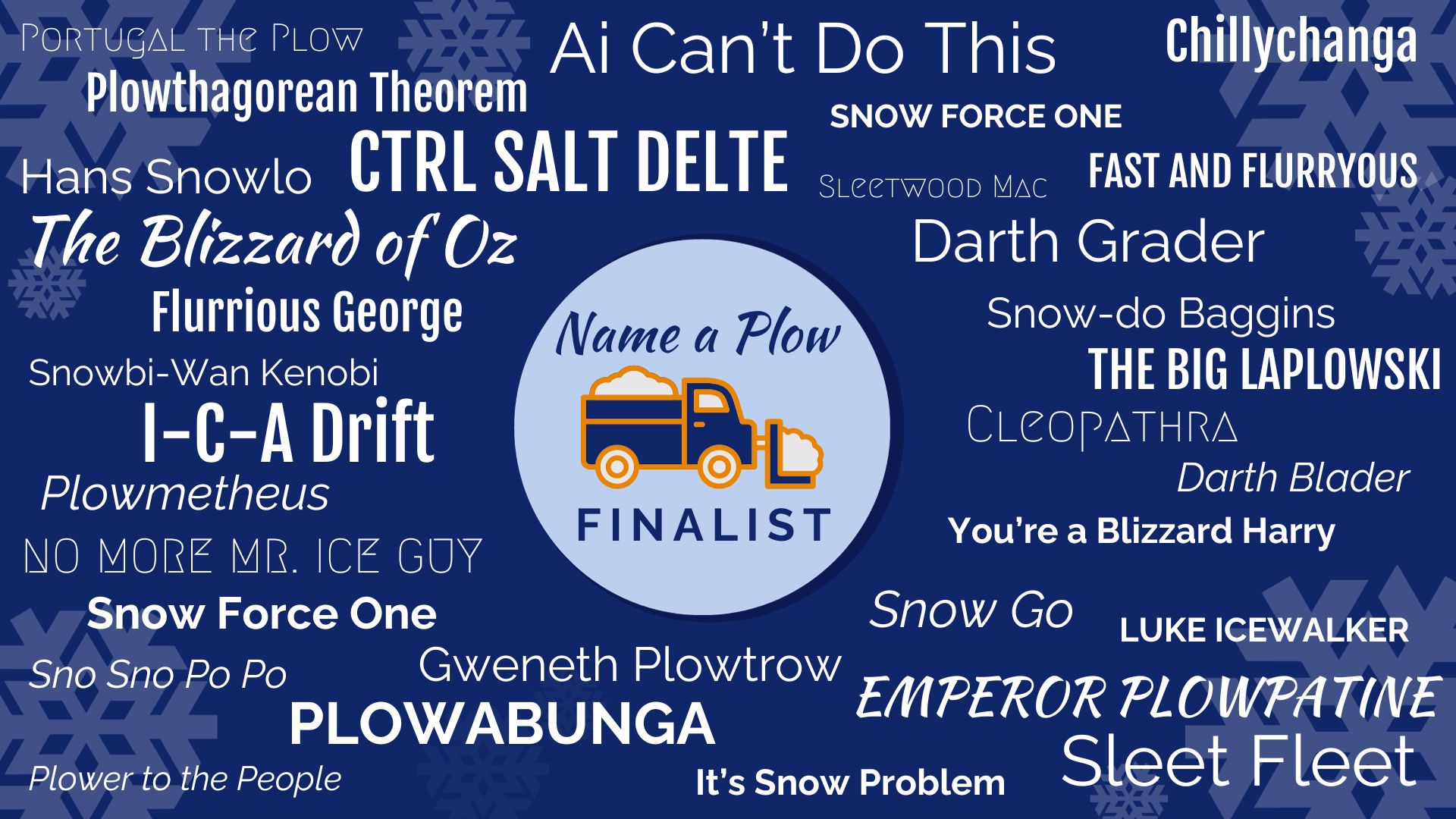word cloud of all the name finalists