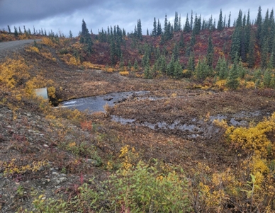 MP 107 culvert after cleaning