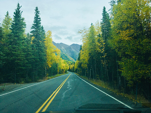 Through the windshield photo of a roadway lined with trees in fall colors