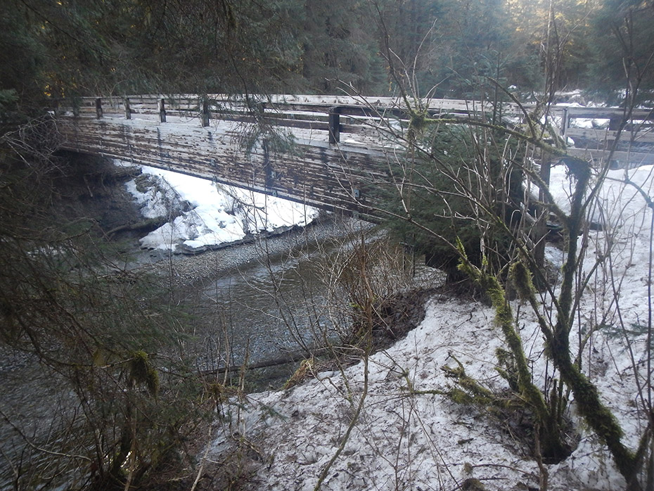 Brotherhood Bridge photo