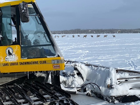 snowmachine trail grooming on a lake with wildlife in the distance