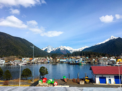 Sitka Herring Feed