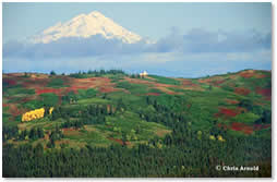 Mt. Redoubt photo