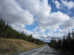 Scenic Big Salt Road photo